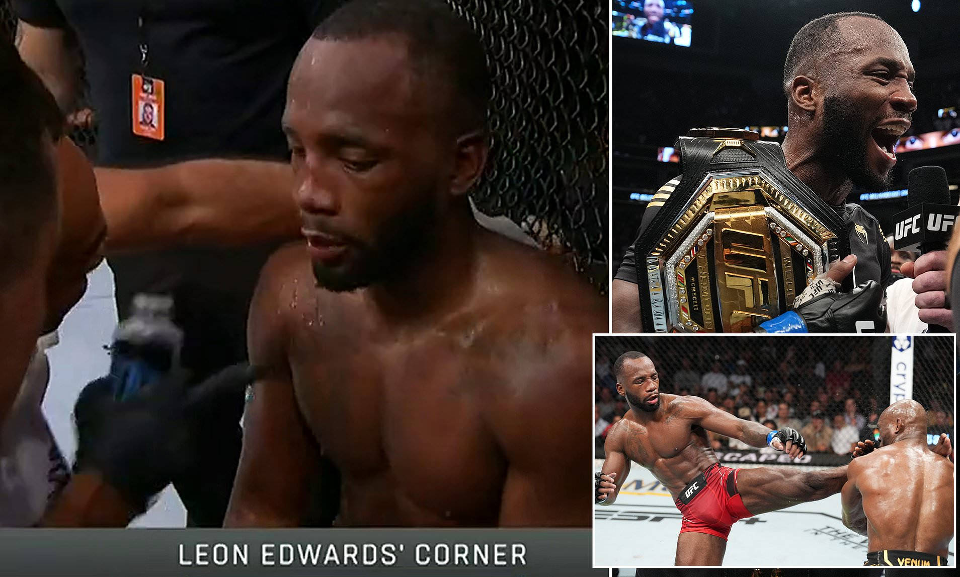 Leon Edwards Screenshots Background