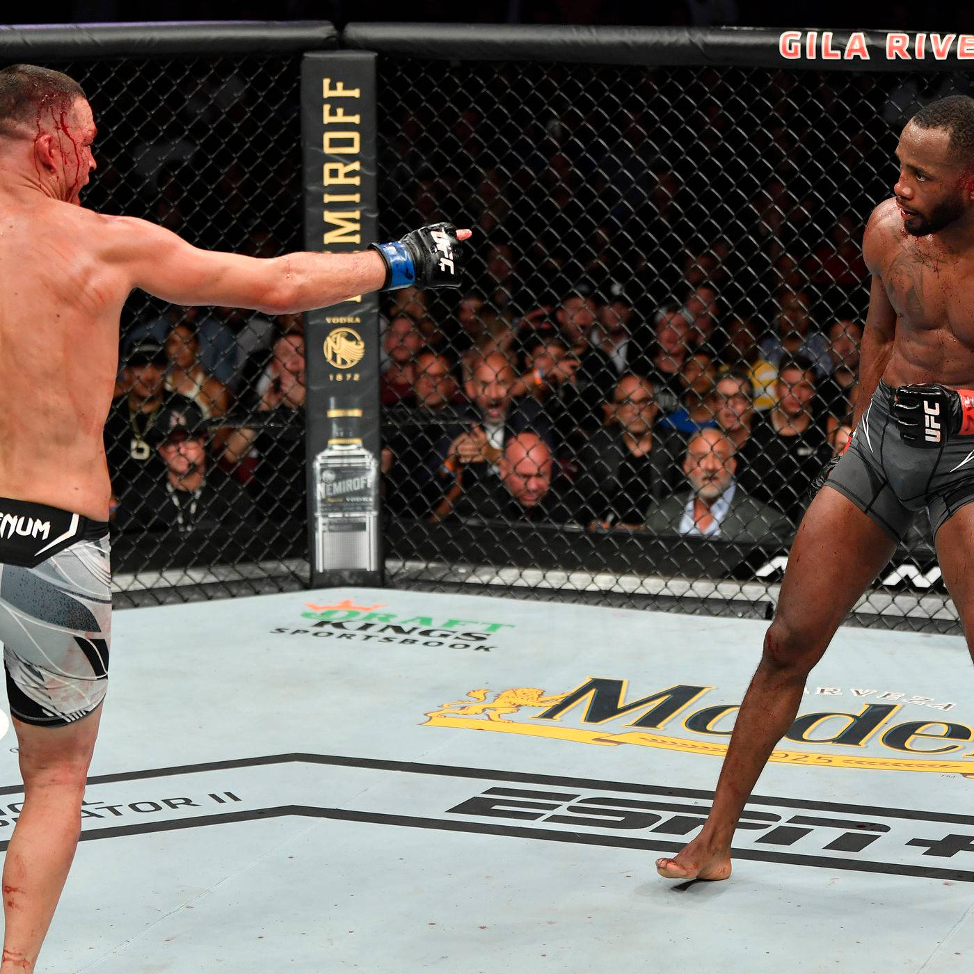 Leon Edwards Versus Nate Diaz Background