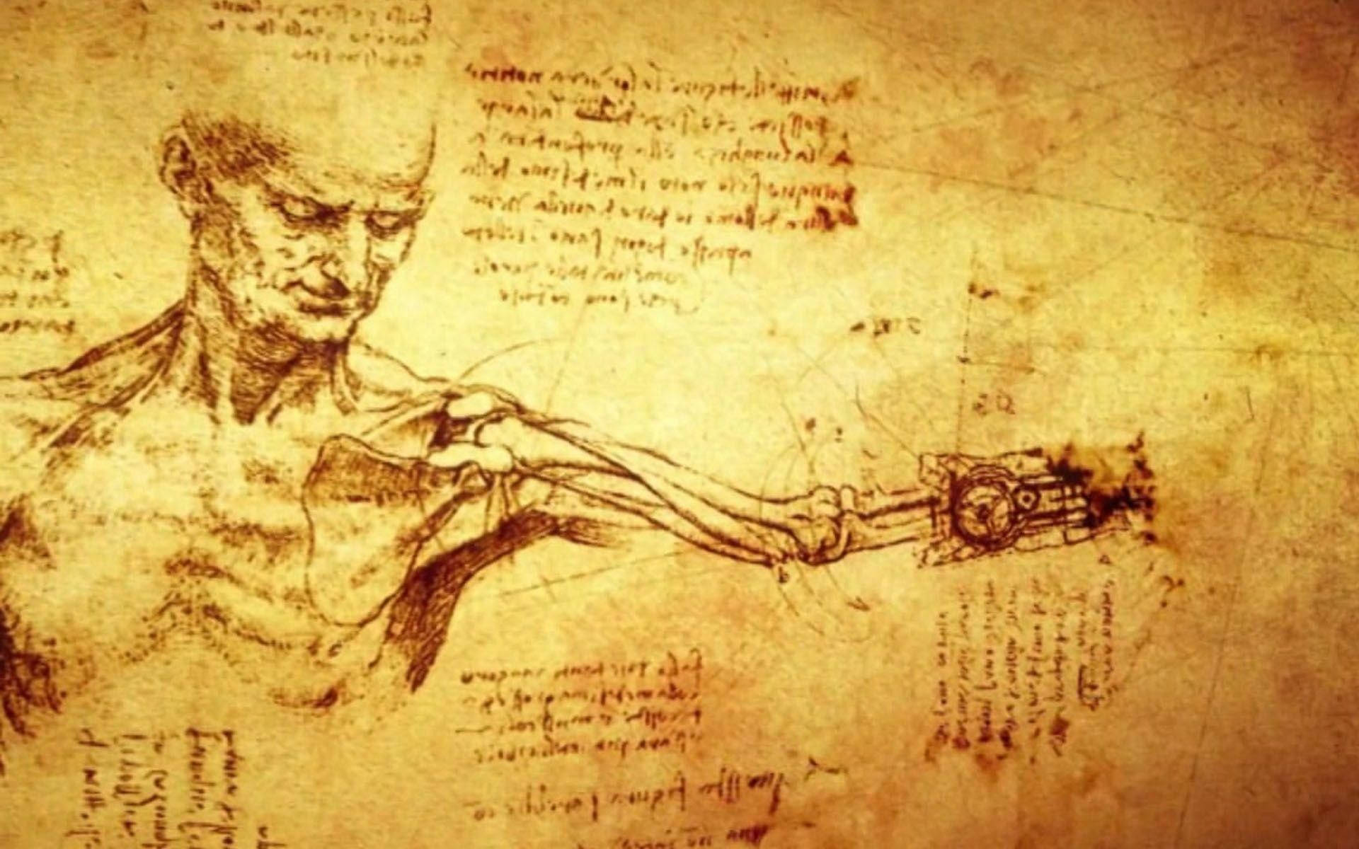Leonardo Da Vinci Anatomical Drawings Background