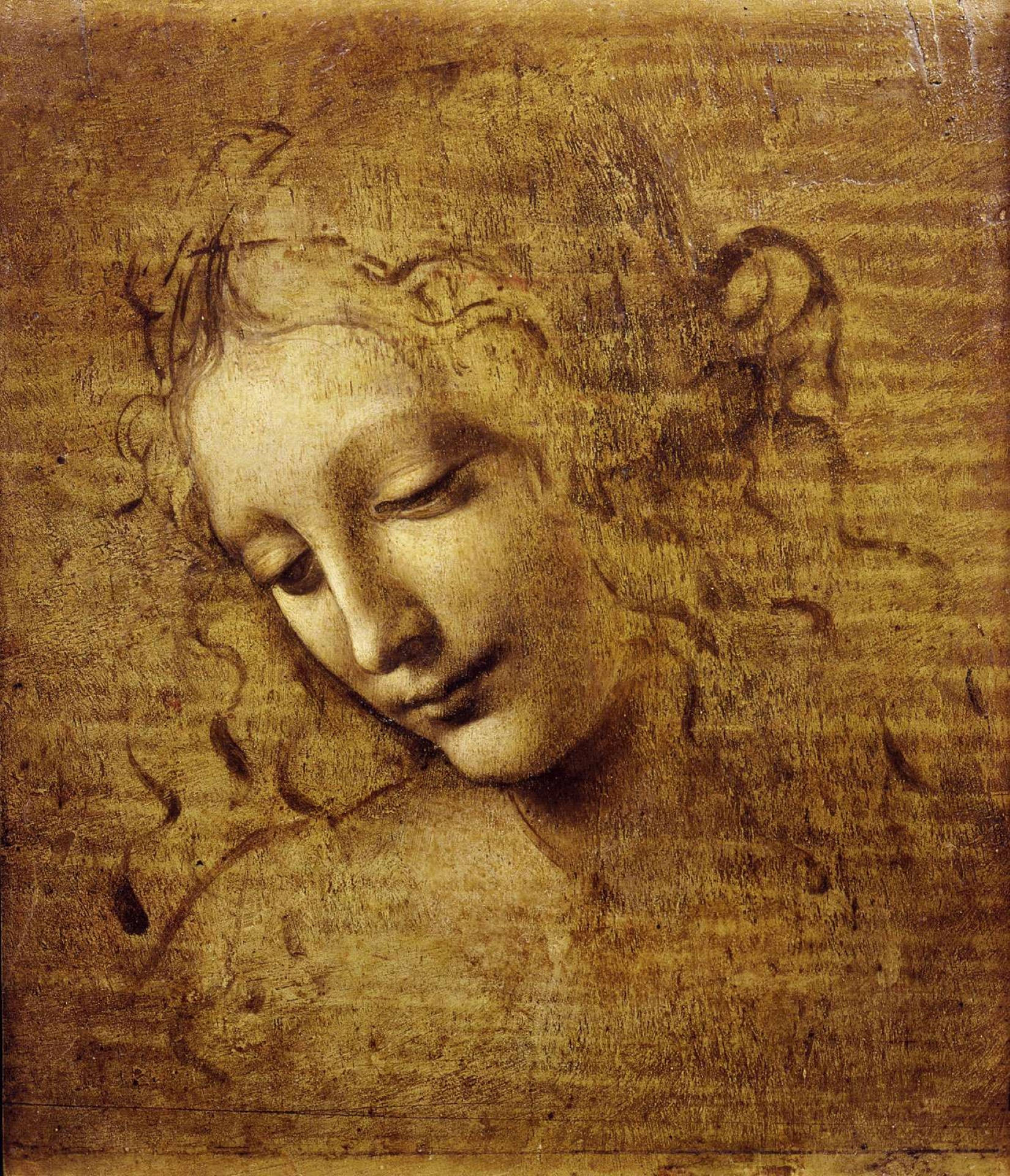 Leonardo Da Vinci Female Head Painting