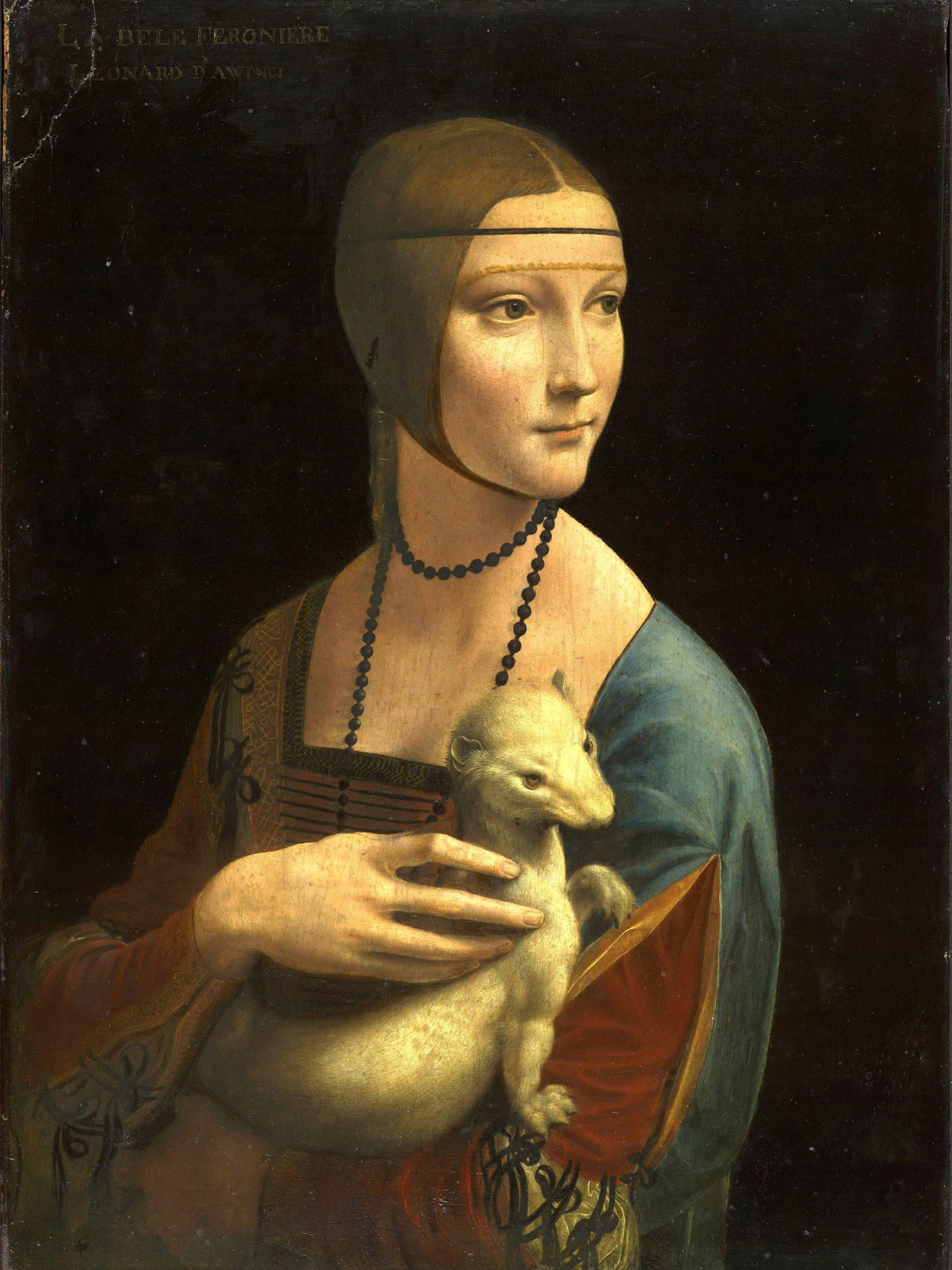Leonardo Da Vinci Lady Painting Background