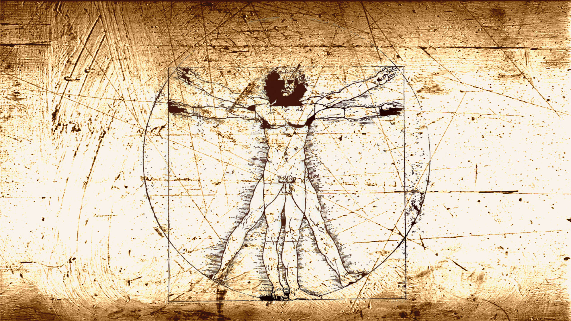 Leonardo Da Vinci Vitruvian Man Background