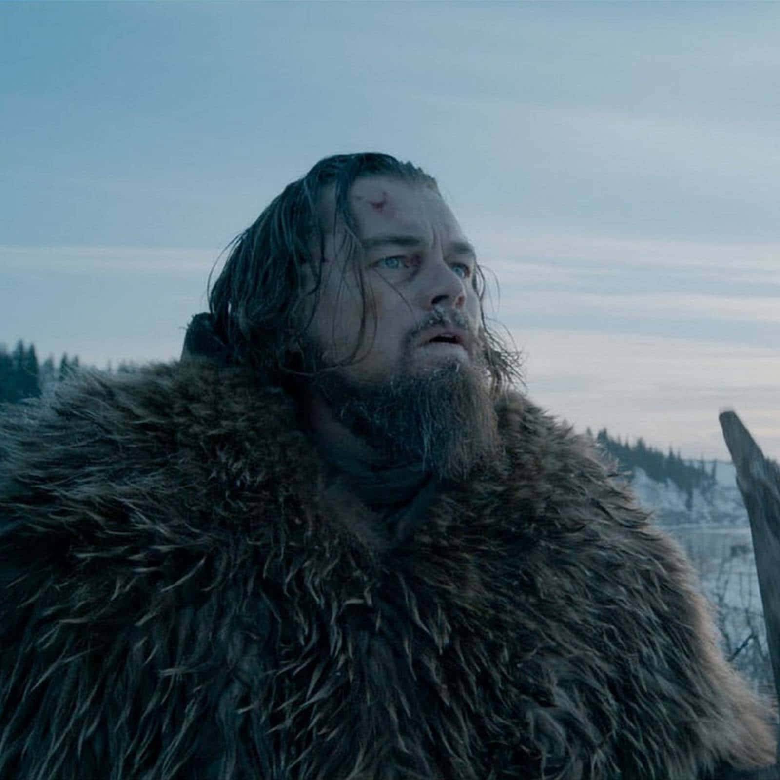 Leonardo Dicaprio In 'the Revenant' Background