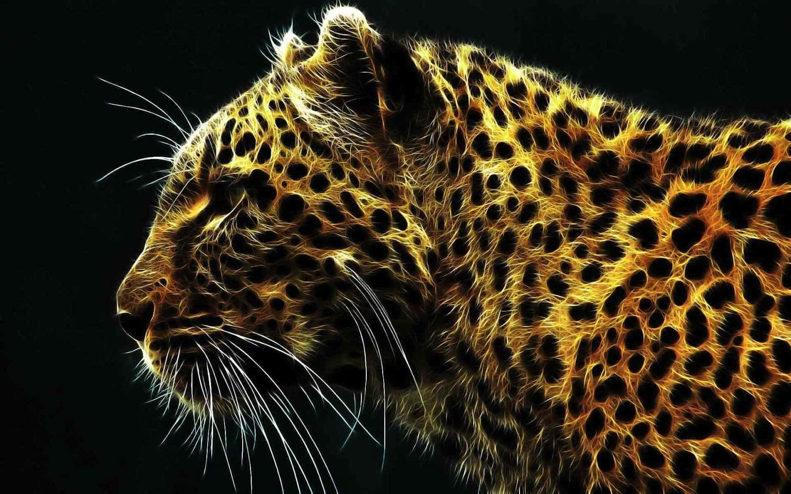 Leopard Of National Geographic Desktop Background