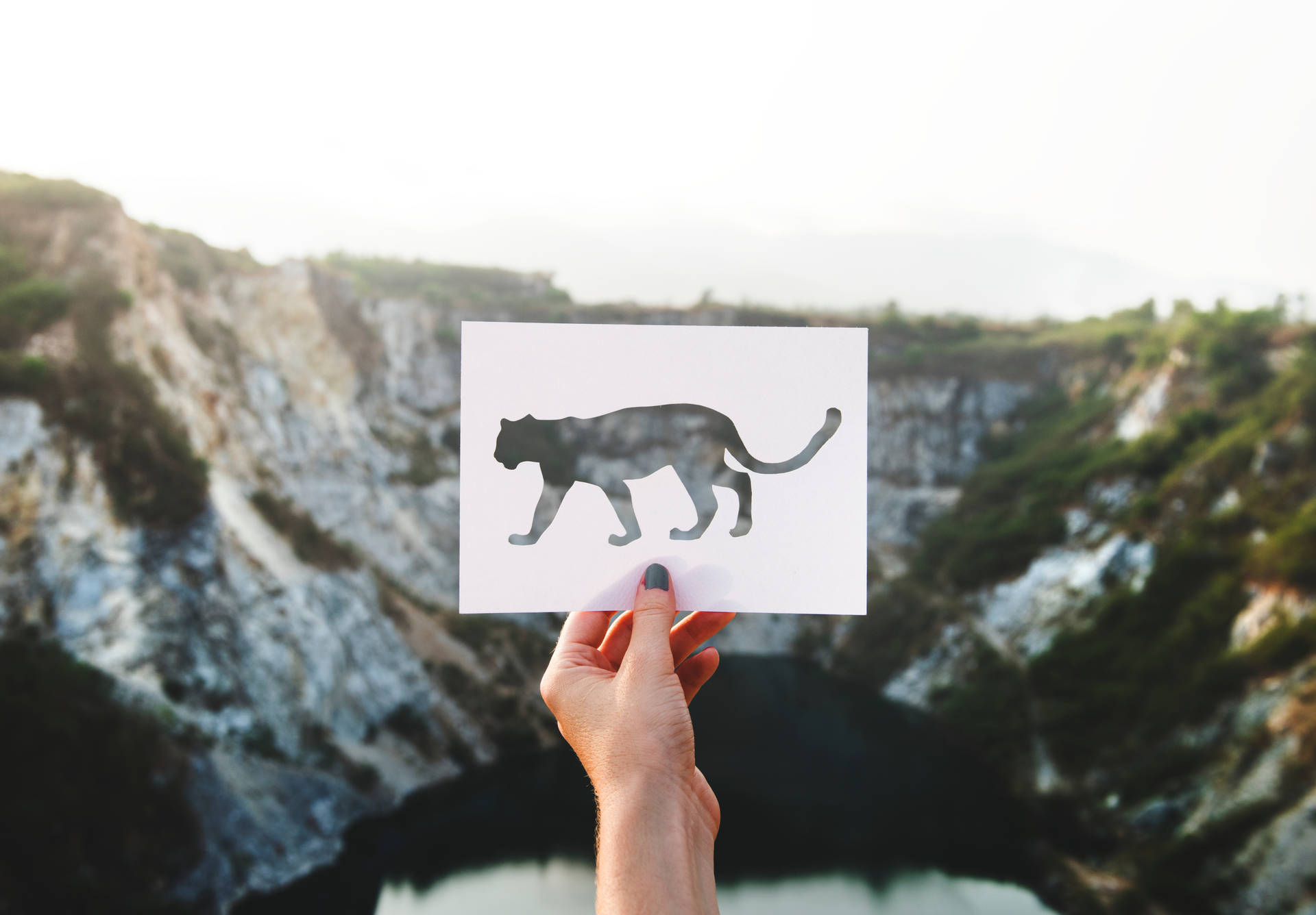 Leopard Paper Art Background