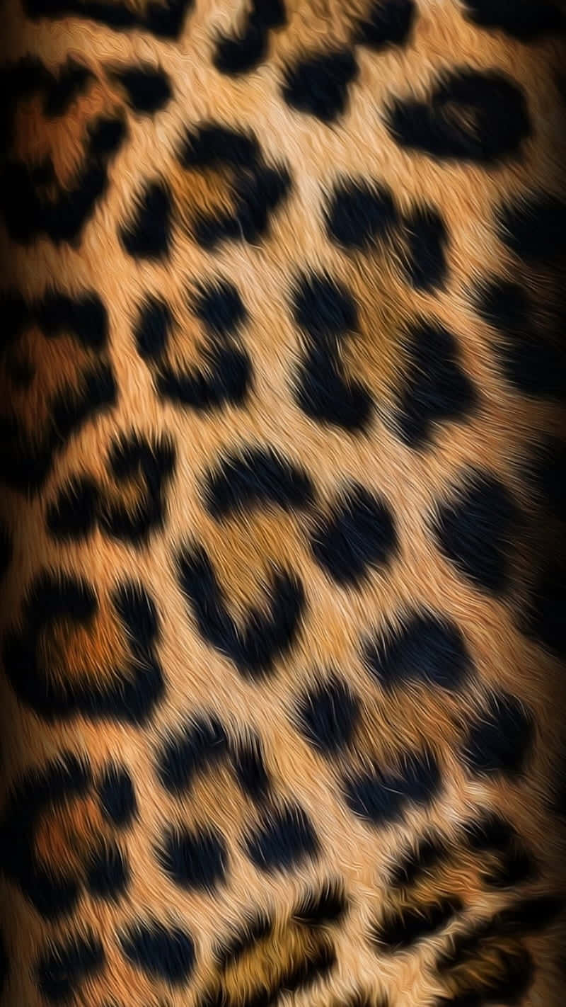 Leopard Skin Texture - Close Up Photo Background