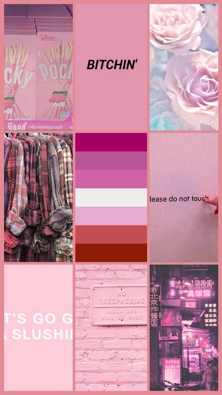 Lesbian Flag Pink Collage