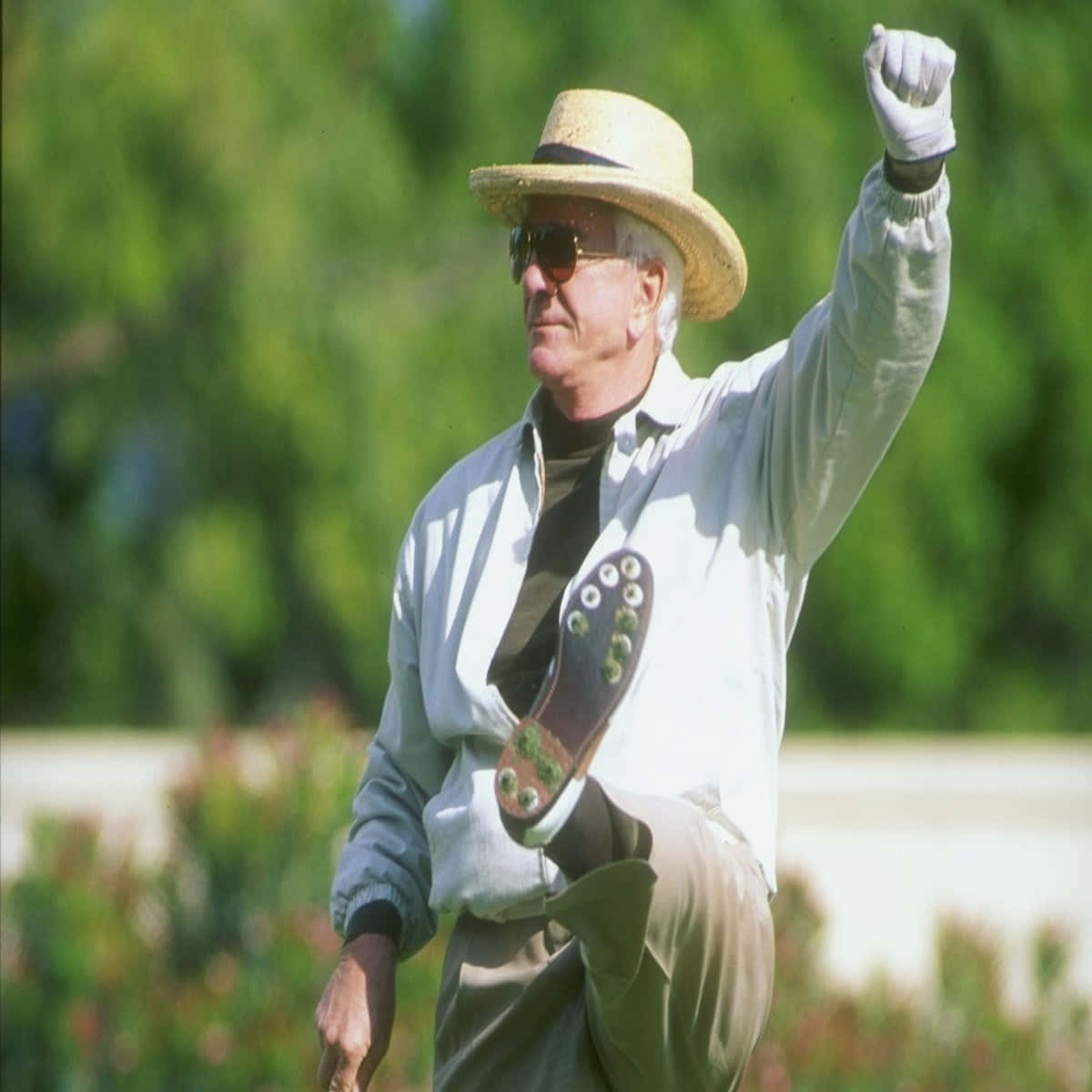 Leslie Nielsen Background