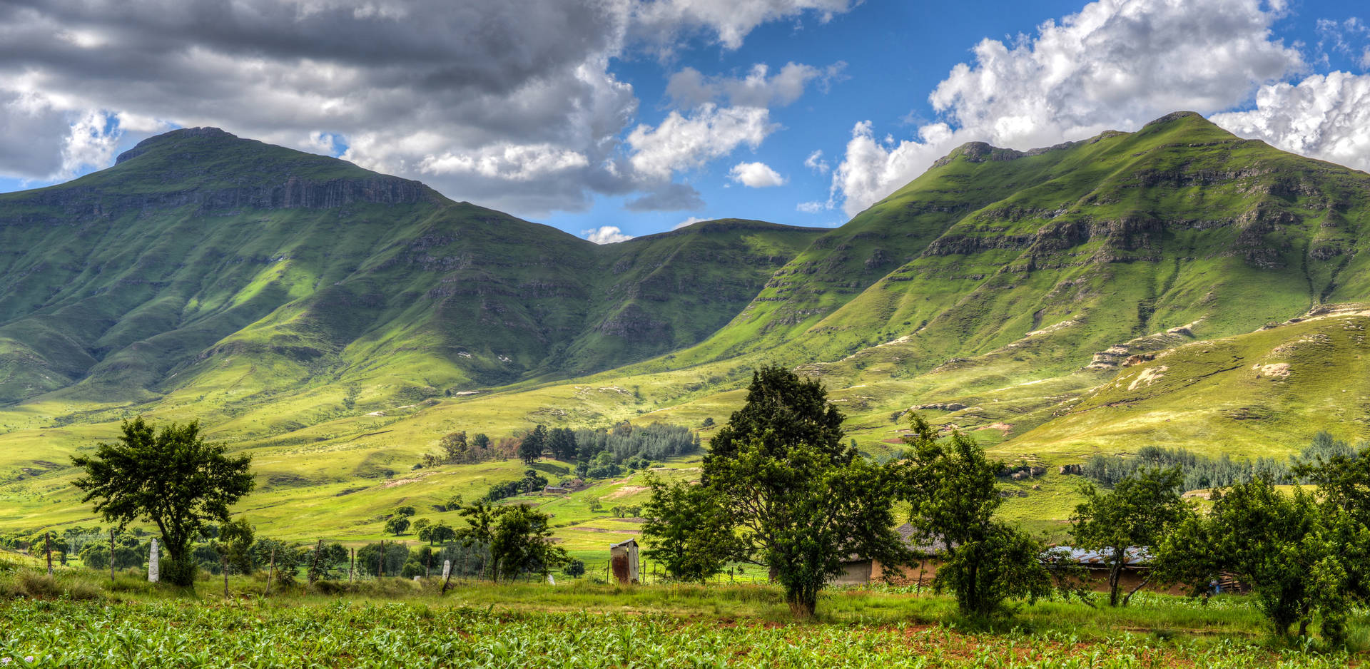 Lesotho Green Mountains Trees Background