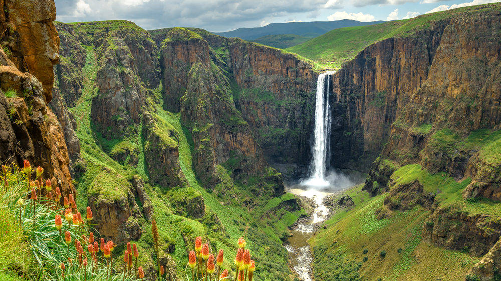 Lesotho Waterfalls Flowers Background