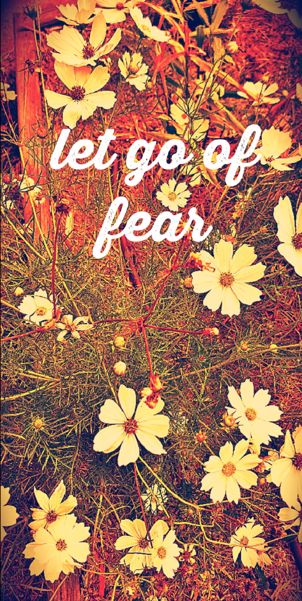 Let Go Of Fear Affirmation