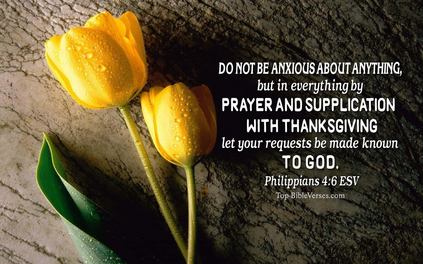 Let God Guide You Background