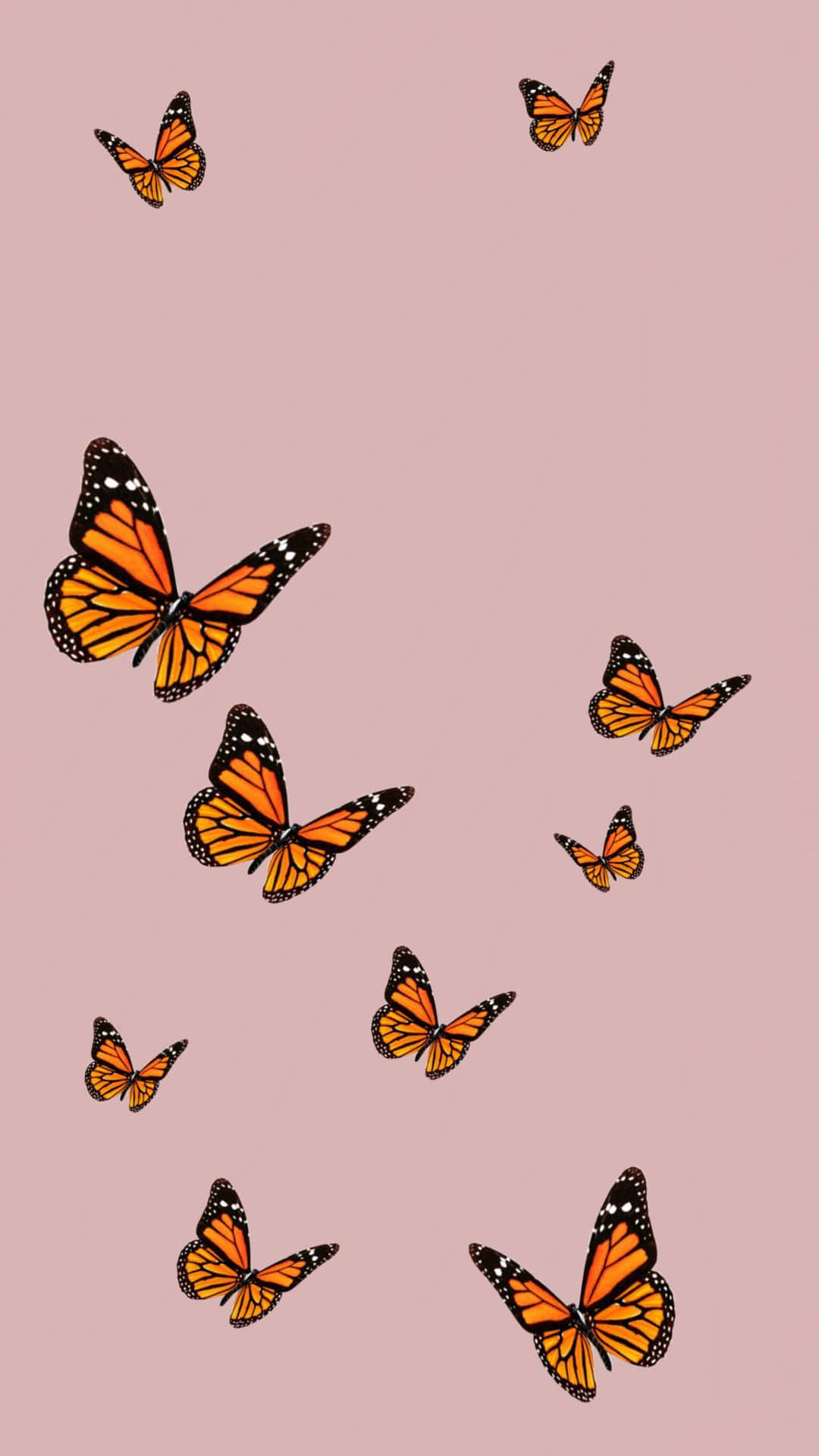 Let's Be Beautiful And Free Like A Butterfly!