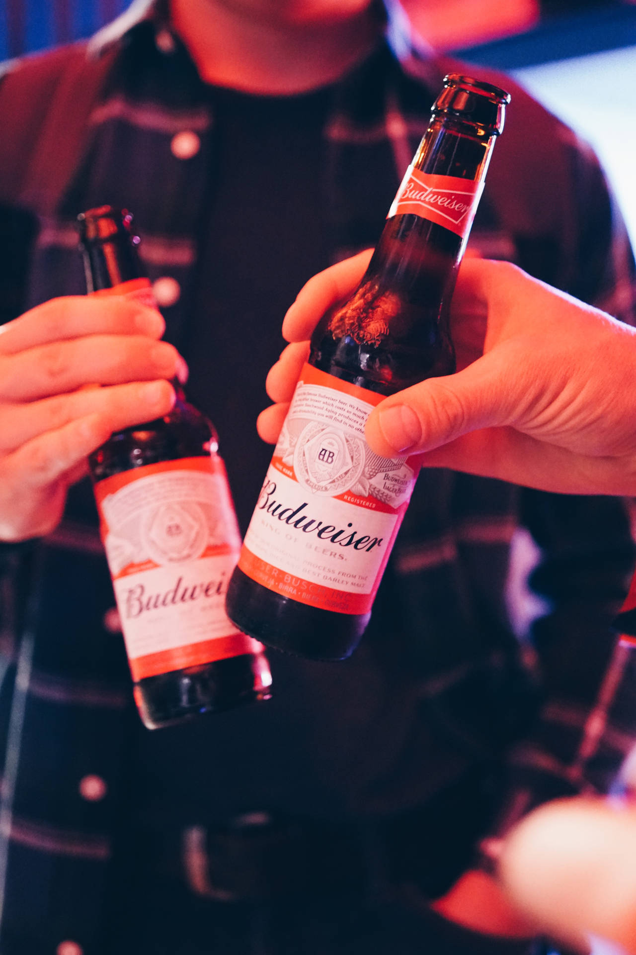 Let's Toast To Cheers With Budweiser Background