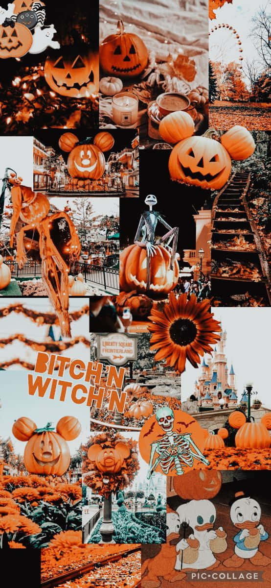 Let The Fall Season Bring Beauty & Joy To Your Life Background