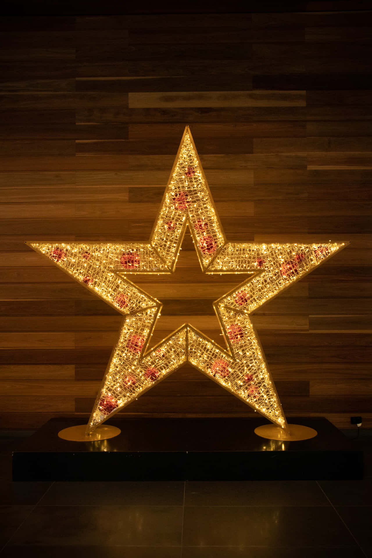 Let The Magic Of The Christmas Star Illuminate Your Home This Holiday