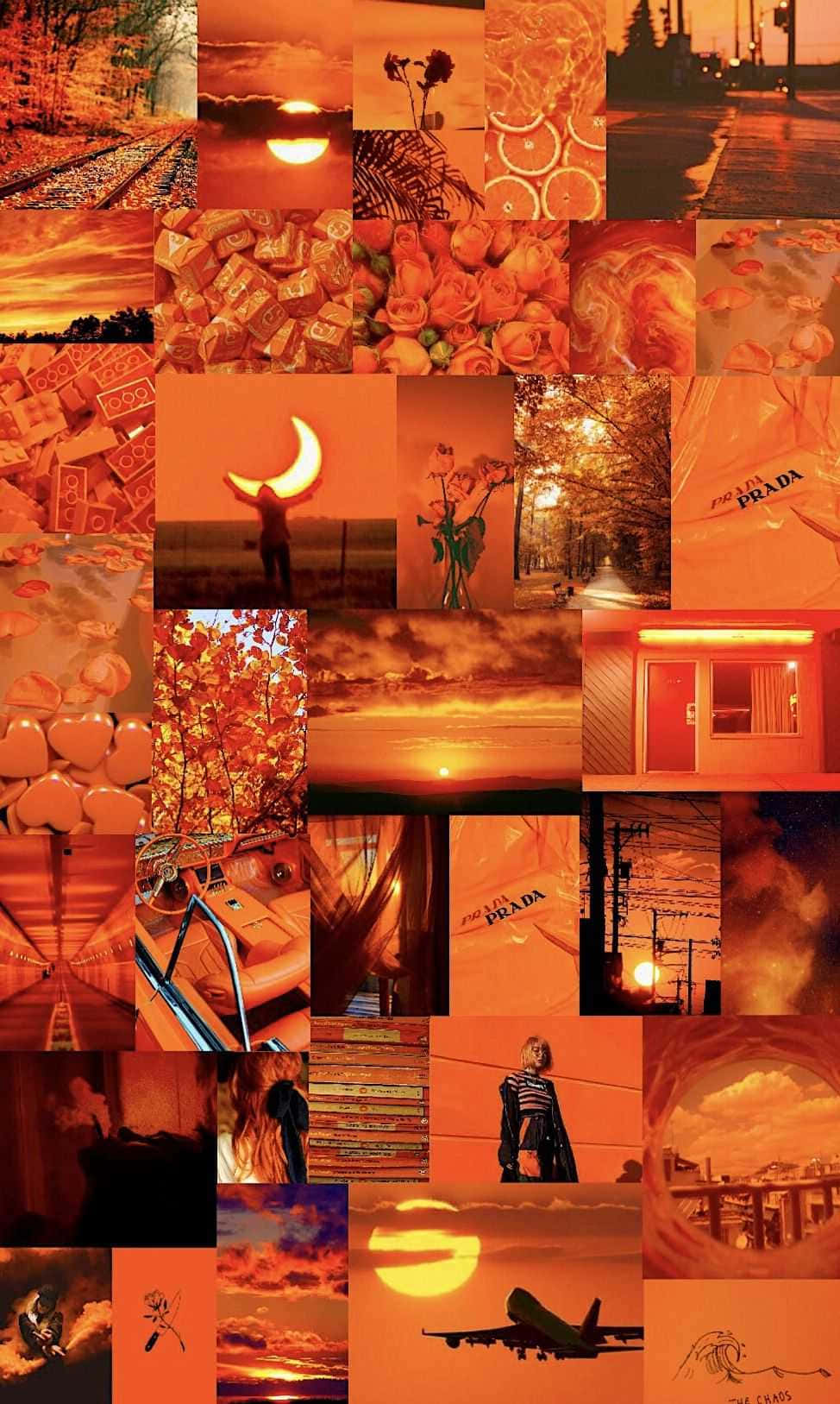 Let The Orange Aesthetic Take Over Your Life. Background