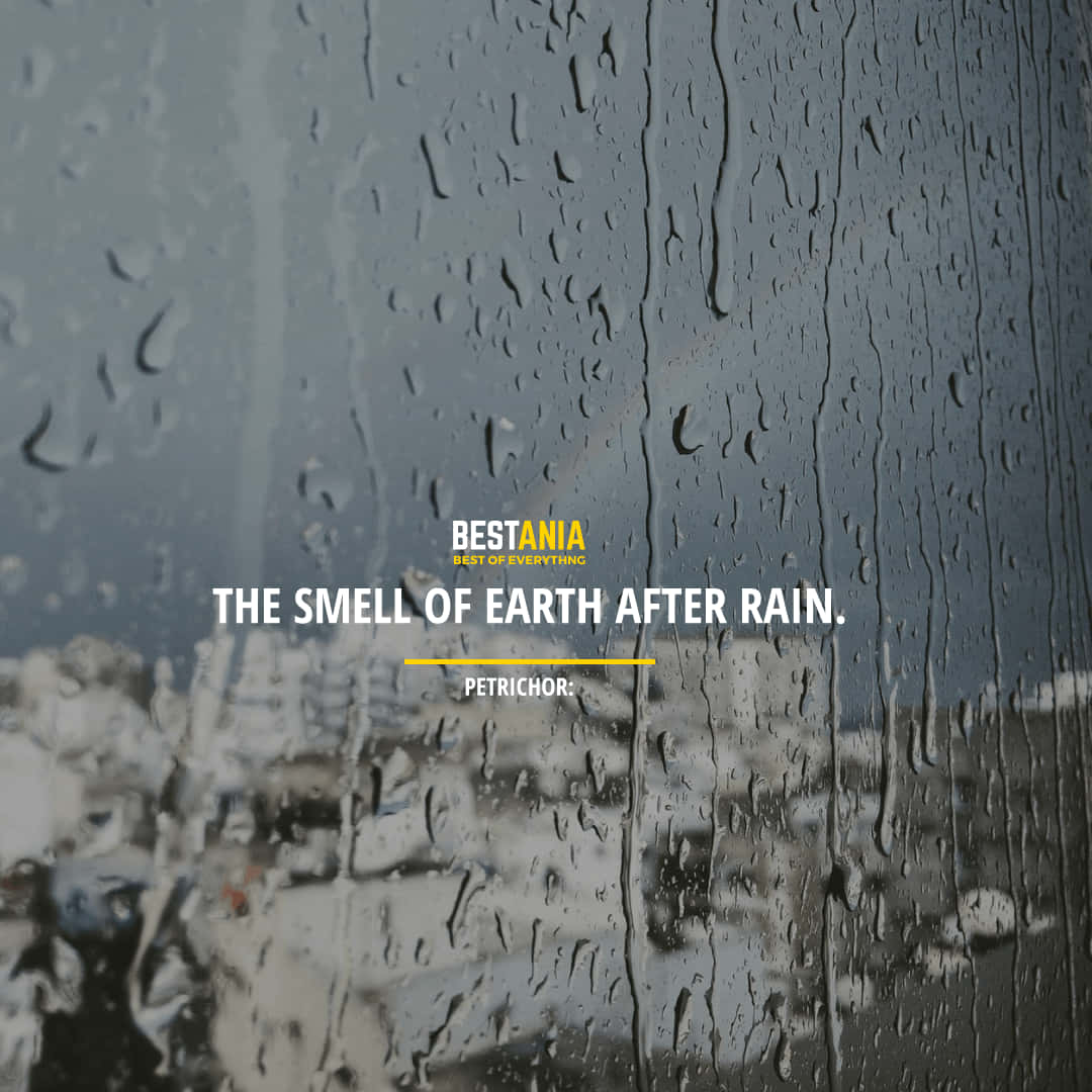 Let The Rainy Days Wash Away Your Worries And Care. Background