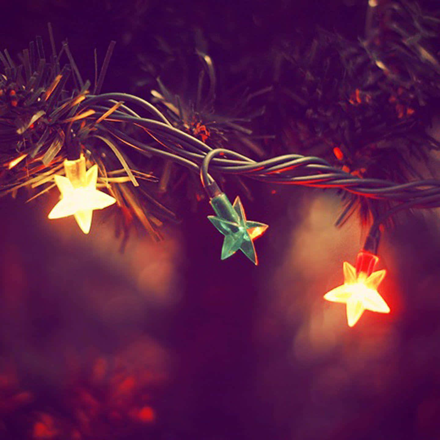 Let The Twinkle Of Christmas Star Light Up Your Home This Holiday Season.