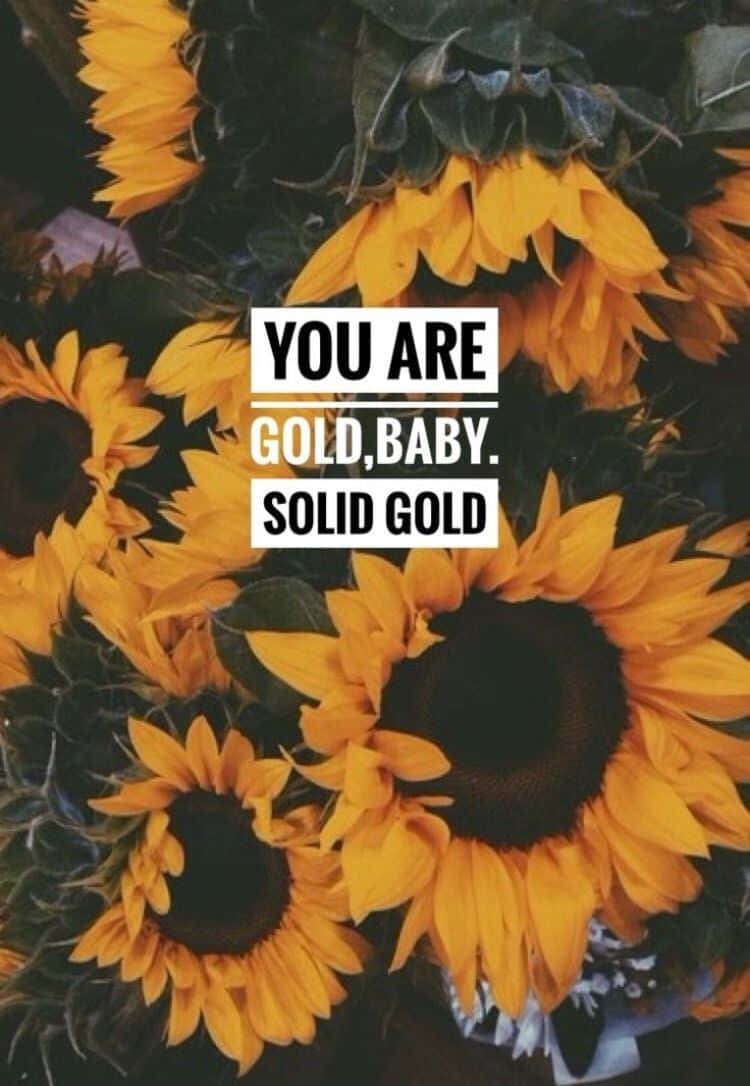 Let The Warmth Of The Sunflower Illuminate Your Days