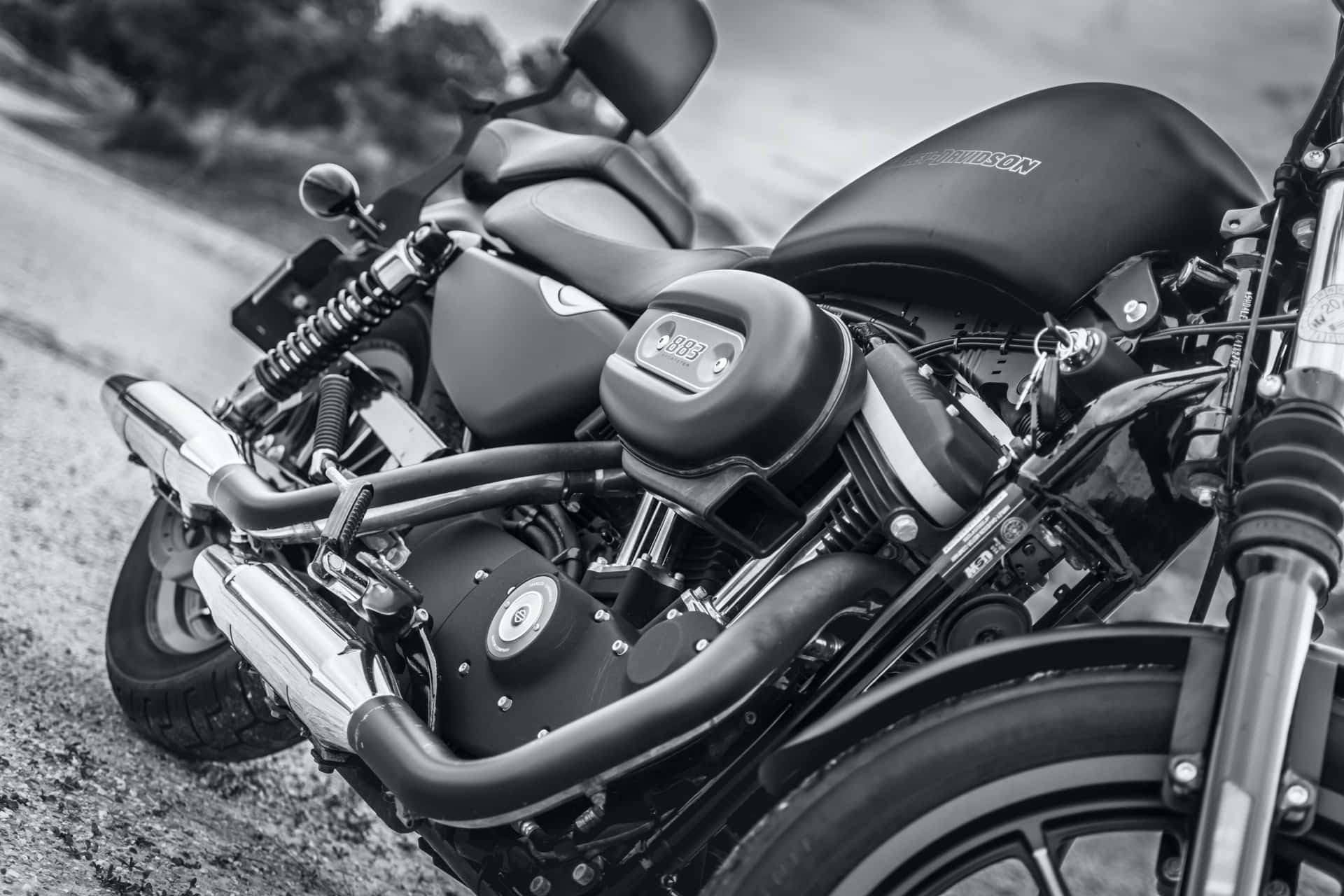 Let The Wind Take You Away On A Harley Davidson Hd Background