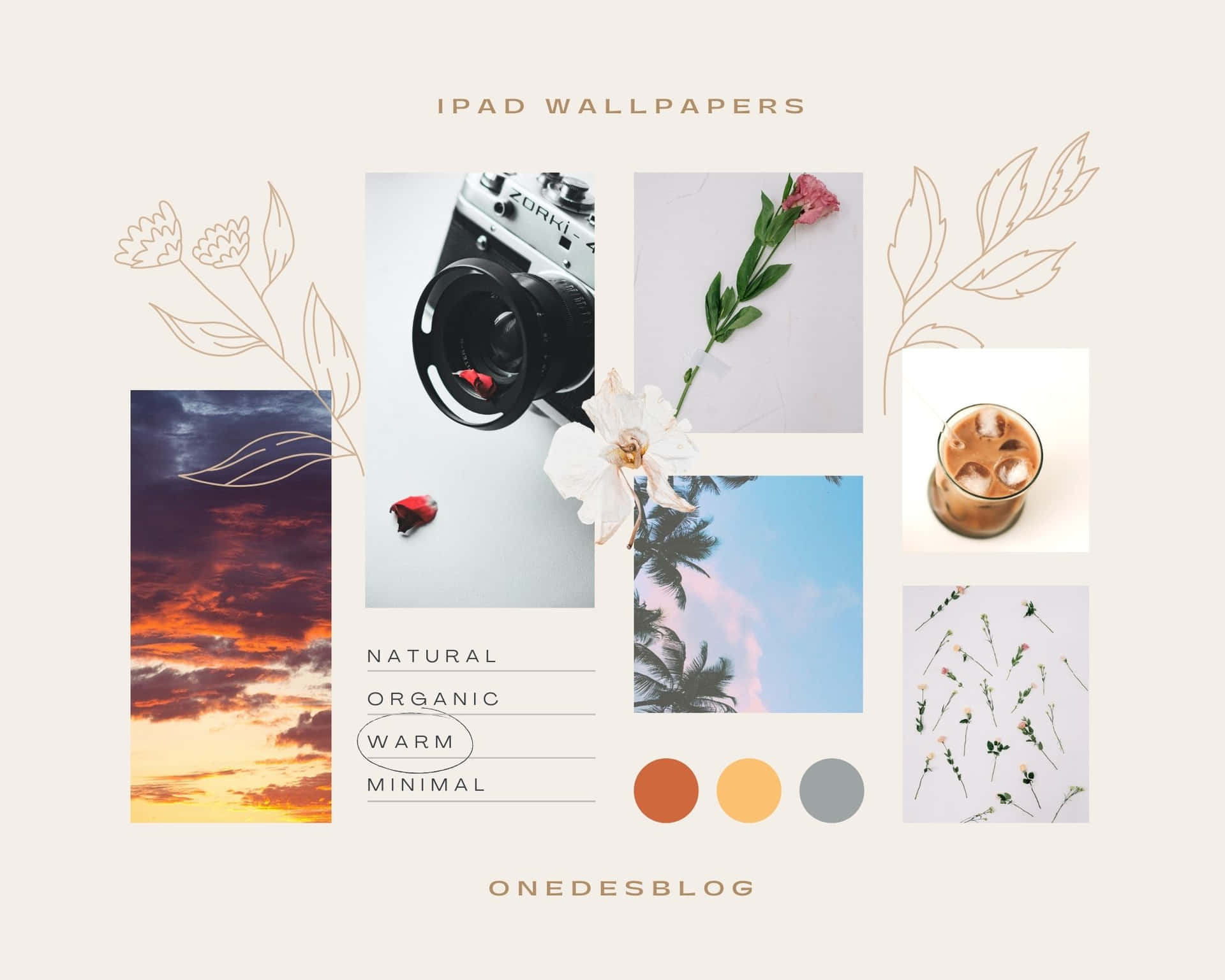 Let Your Creativity Flourish And Explore The Aesthetic Possibilities Background