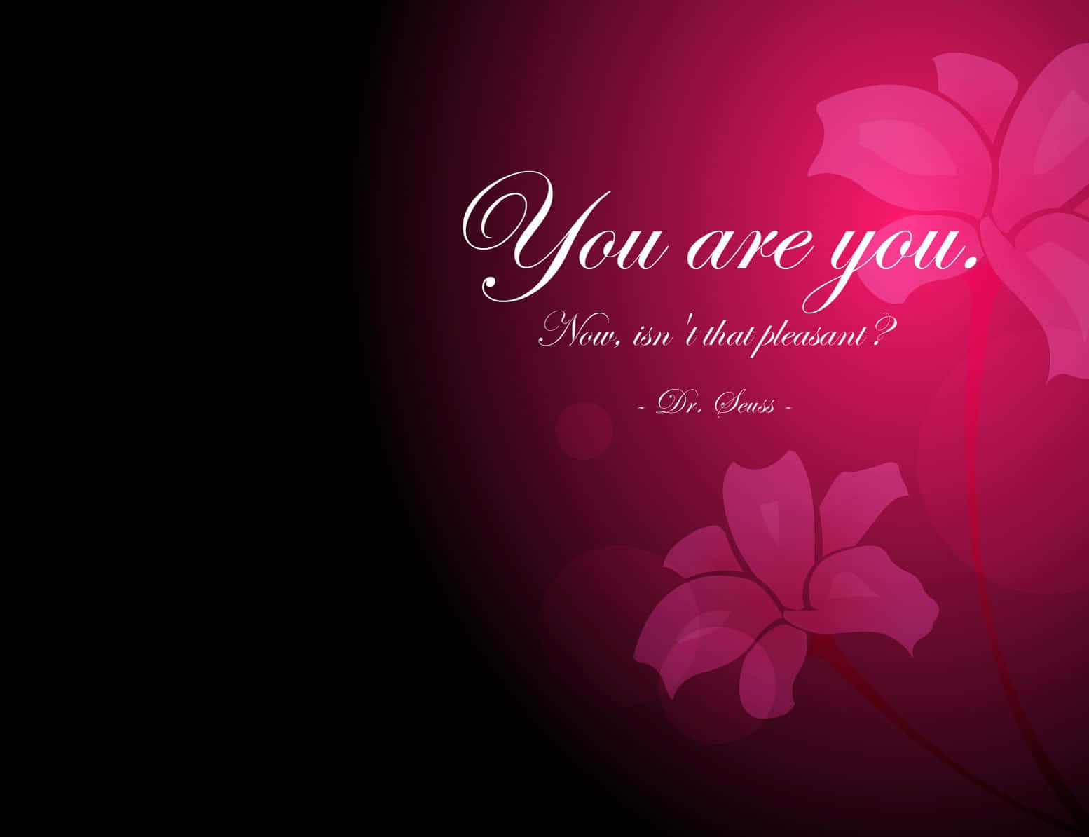 Let Your Dreams Soar! Background
