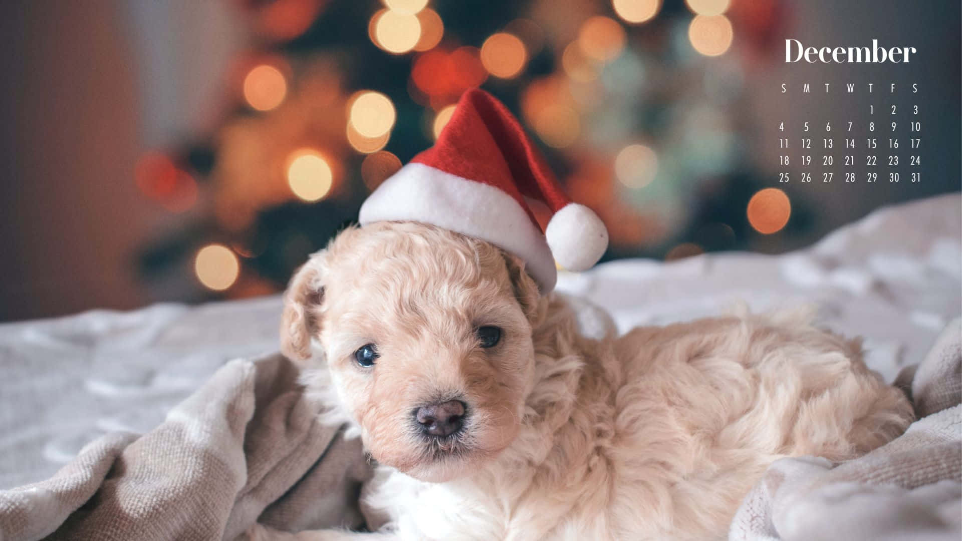 Let’s Welcome December With Lots Of Cheer! Background