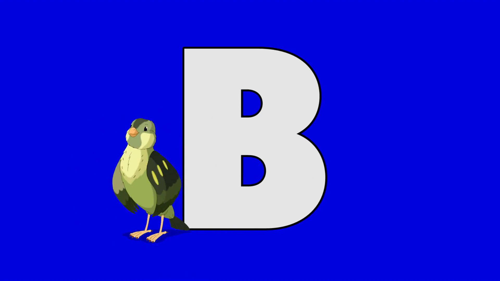 Letter B And Bird Background