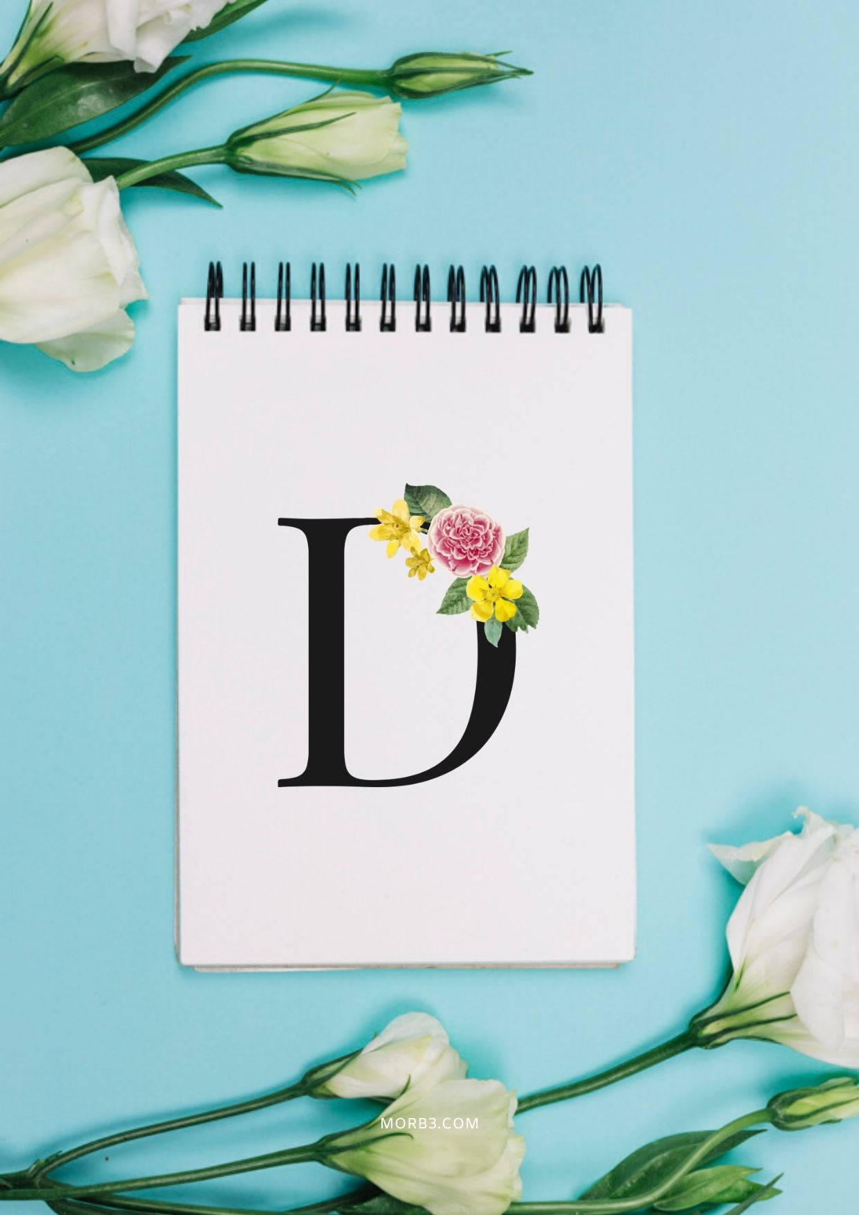 Letter D Notepad Background