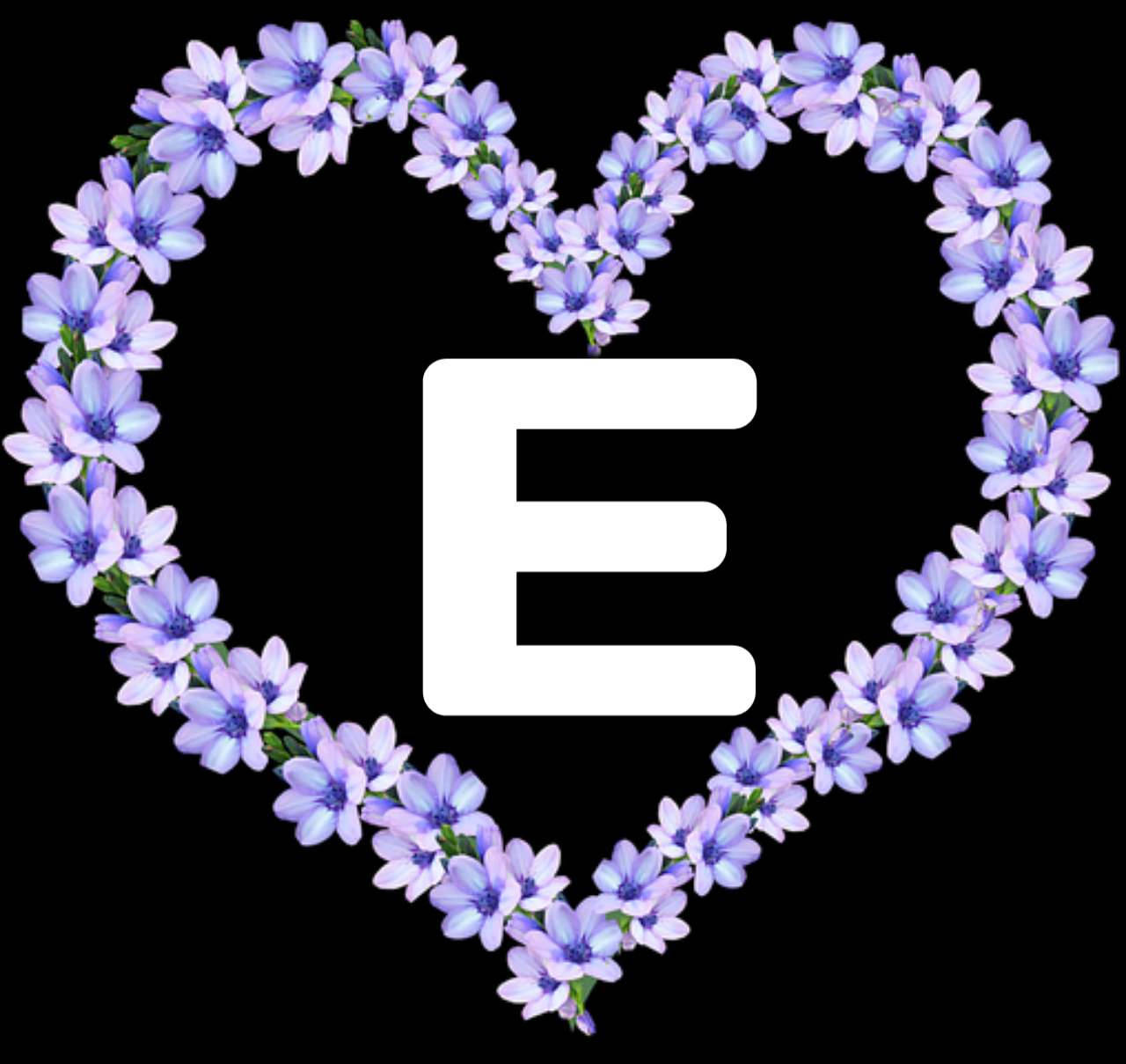 Letter E In Purple Heart Flowers Background