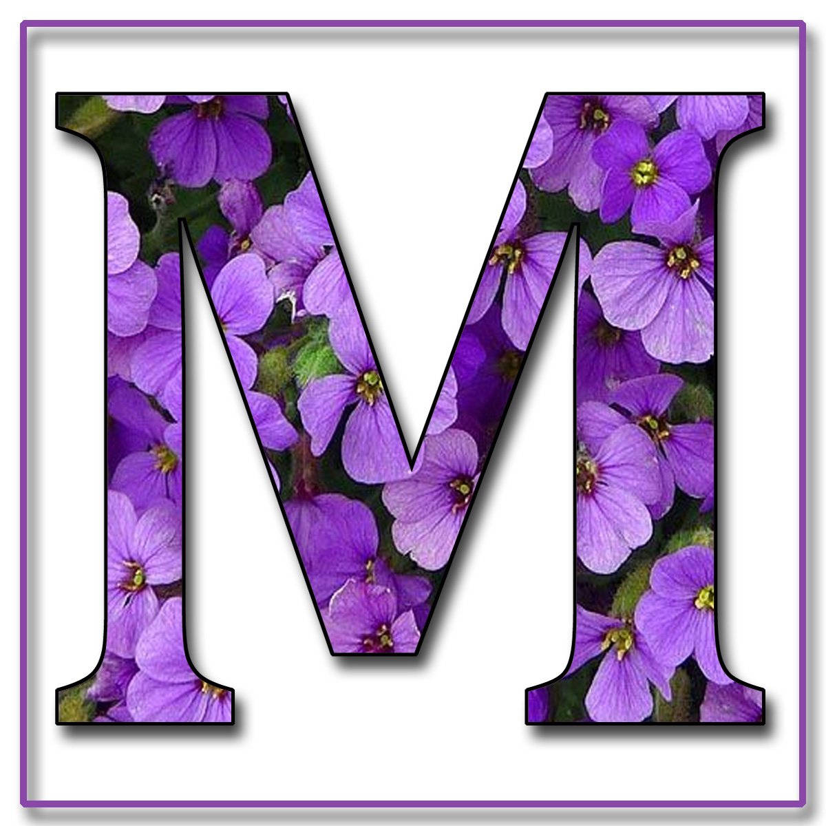 Letter M Purple Flower Background