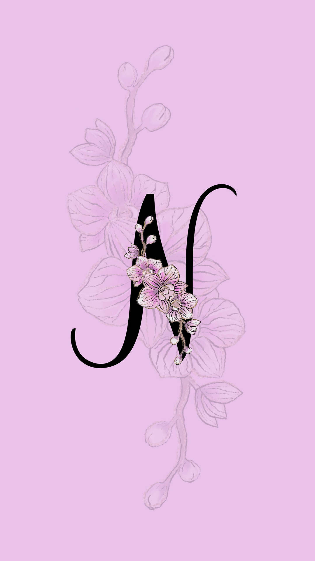 Letter N Orchid Background