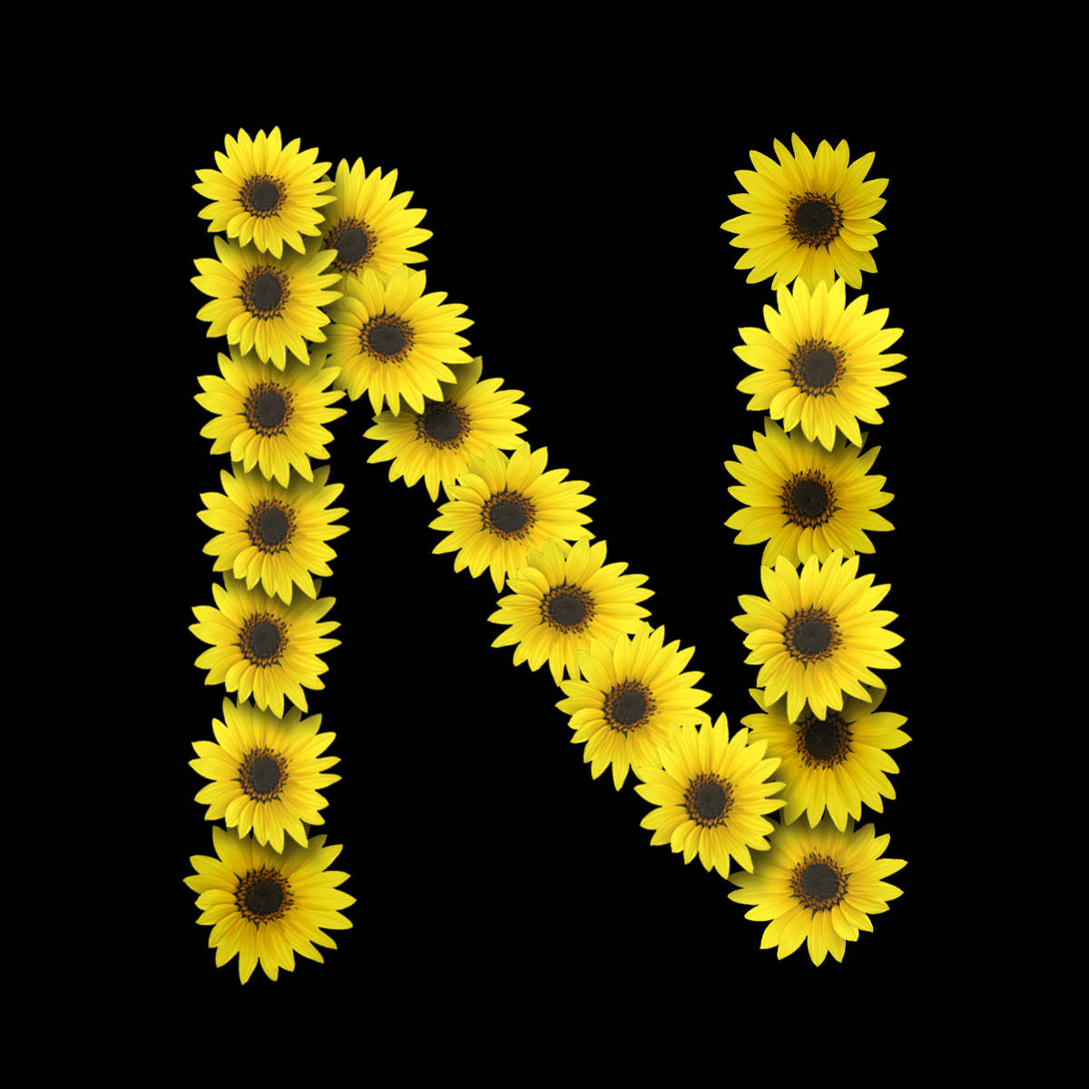Letter N Sunflowers Background