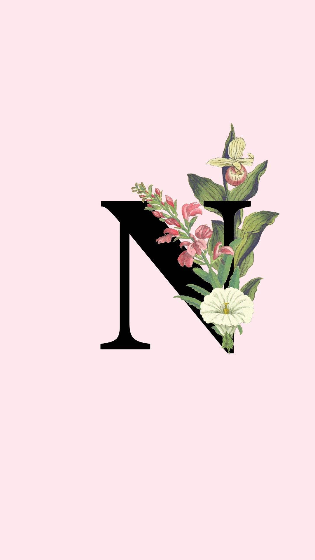 Letter N With Flower Background