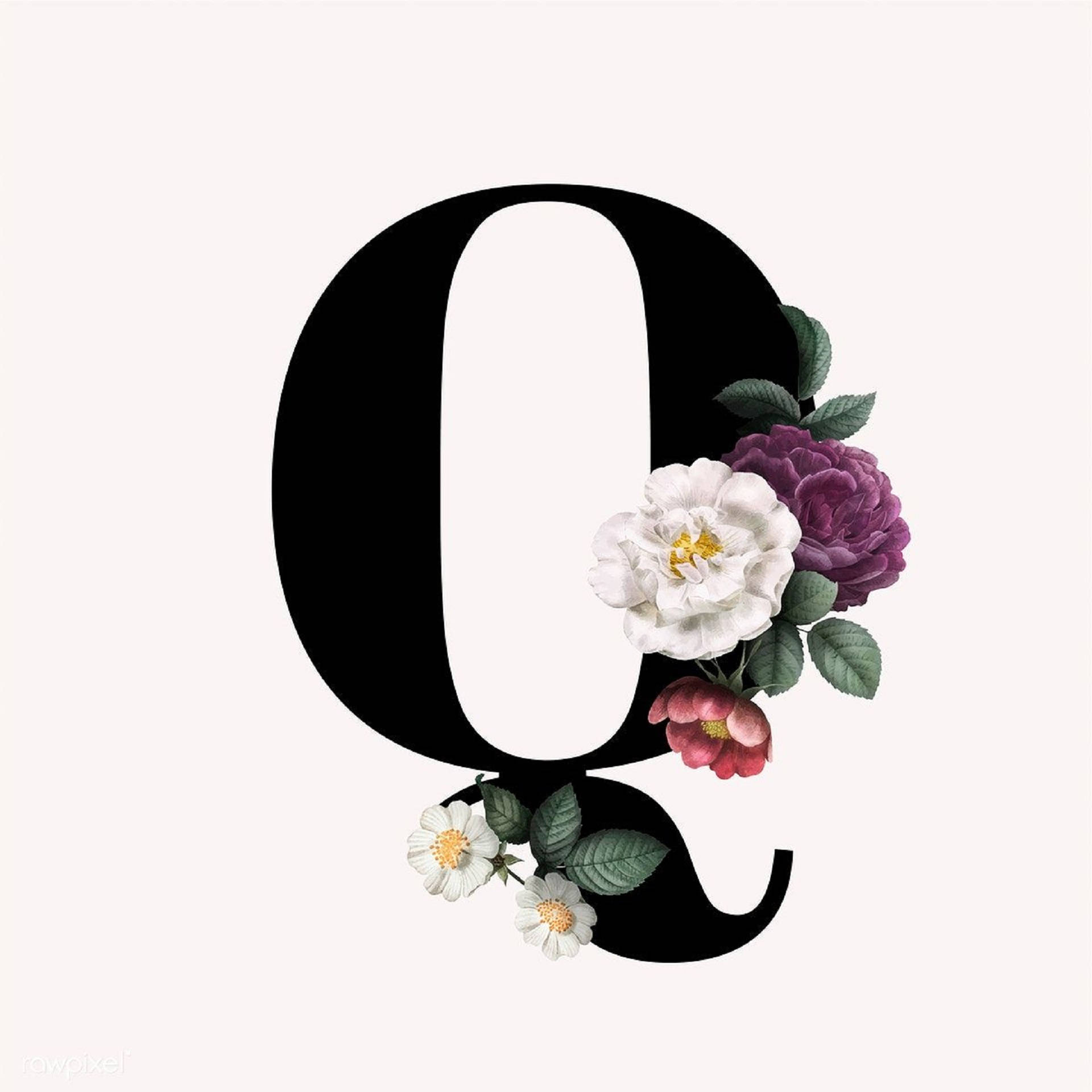Letter Q With Flowers Background