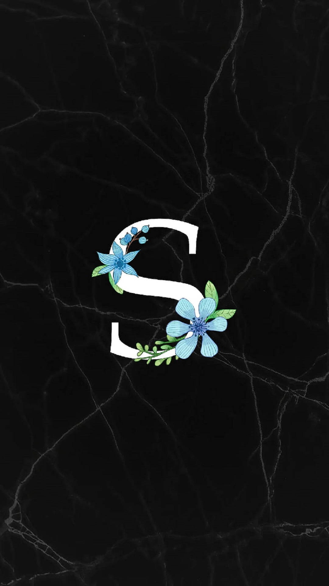 Letter S With Blue Flower Background