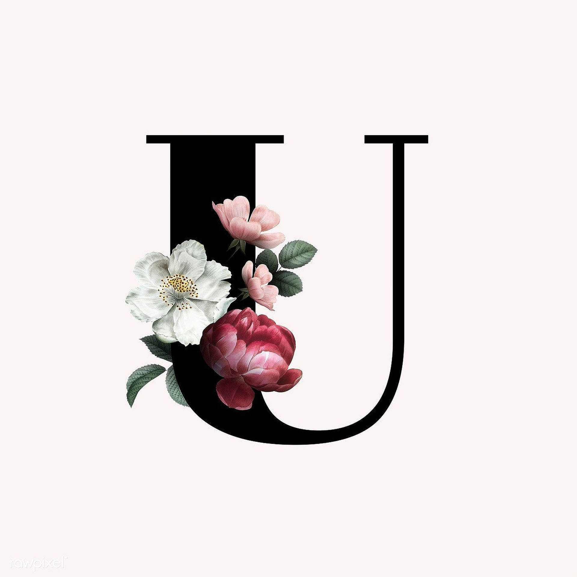 Letter U Flower Monogram Background