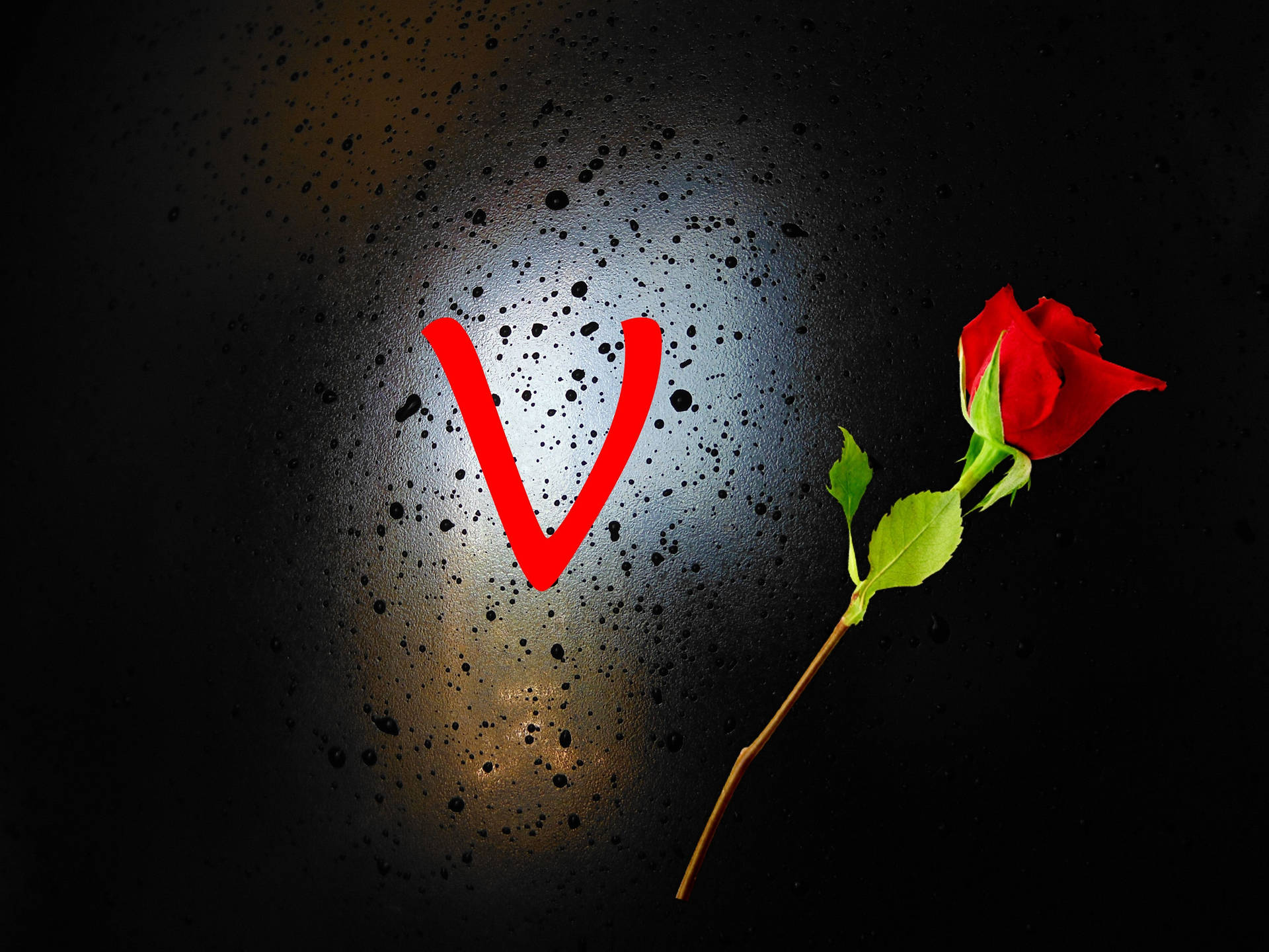 Letter V And Rose Background