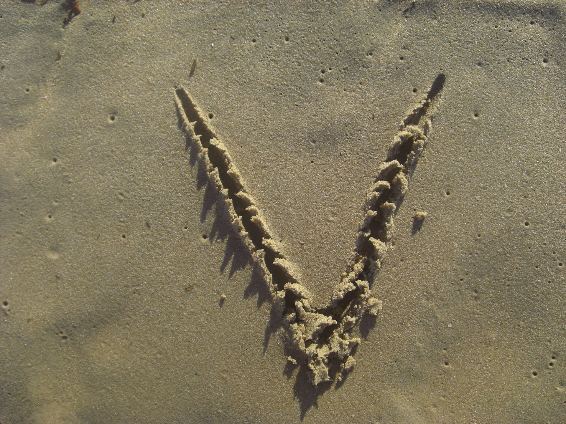 Letter V Drawn On Sand Background