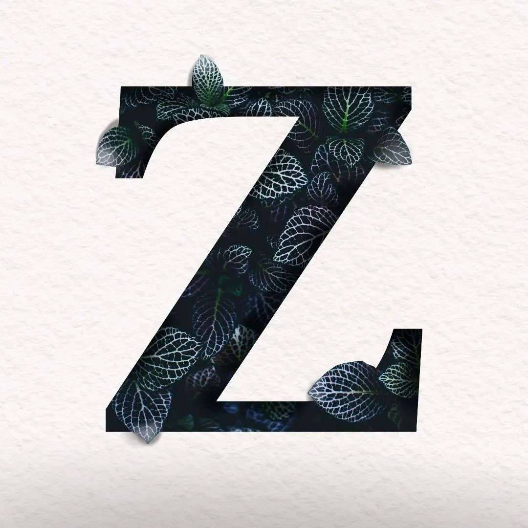 Letter Z With Dark Green Leaves Background