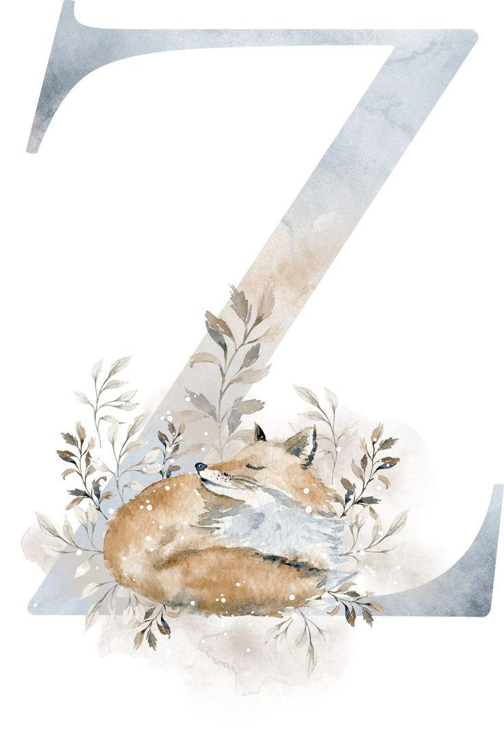 Letter Z With Sleeping Fox Background