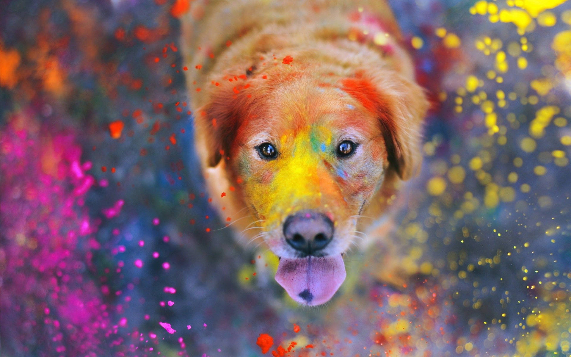 Letting Colors And Fun Flow With Your Best Bud Background