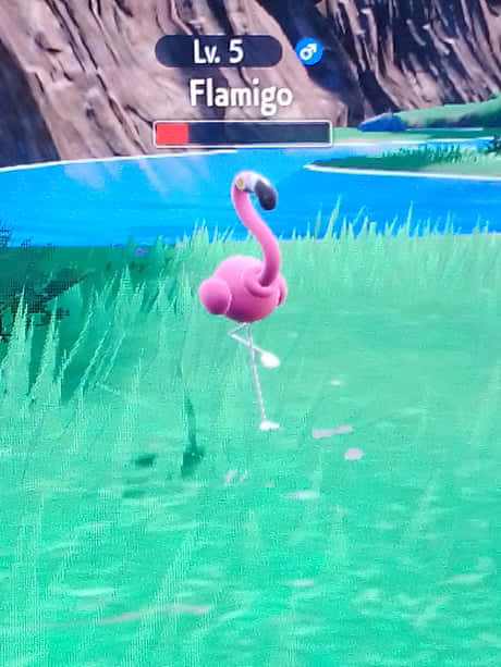 Level5 Flamigo Virtual World Background