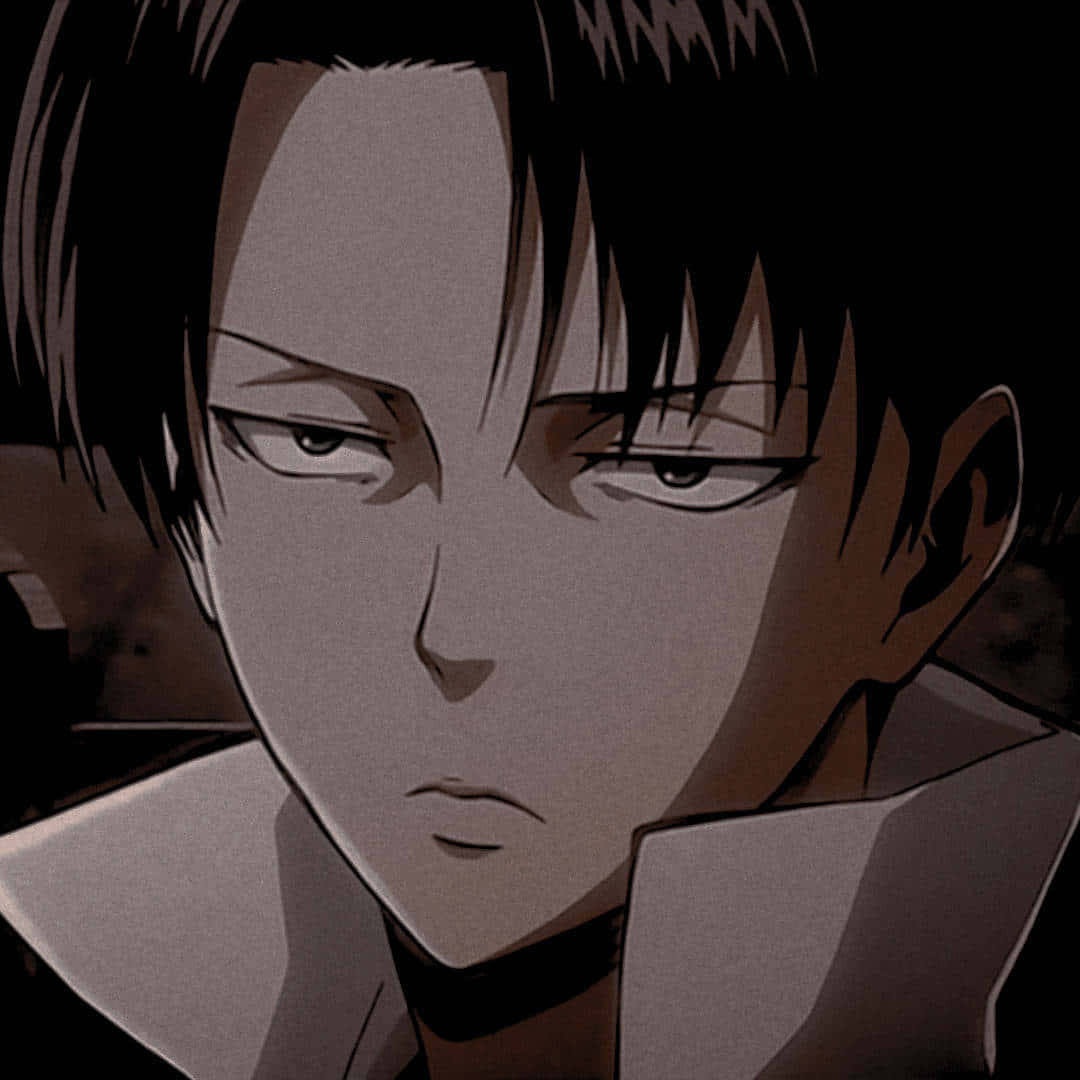 Levi Pfp Close-up Background