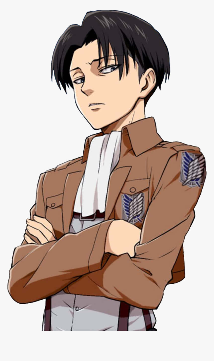 Levi Pfp Wearing Uniform Background