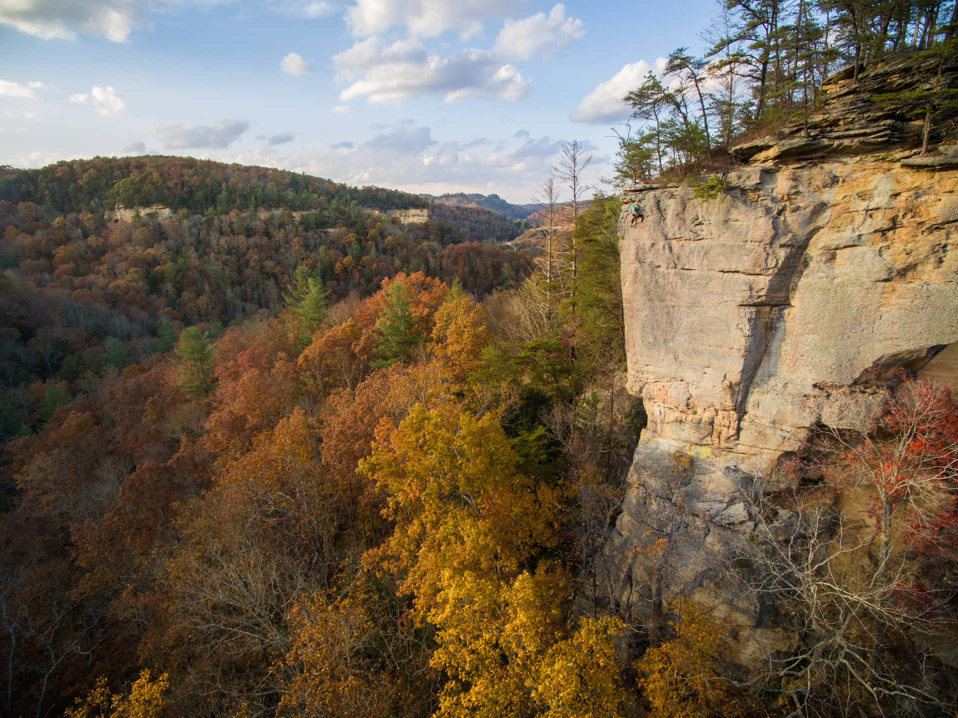 Lexington Kentucky Red River Gorge Rock