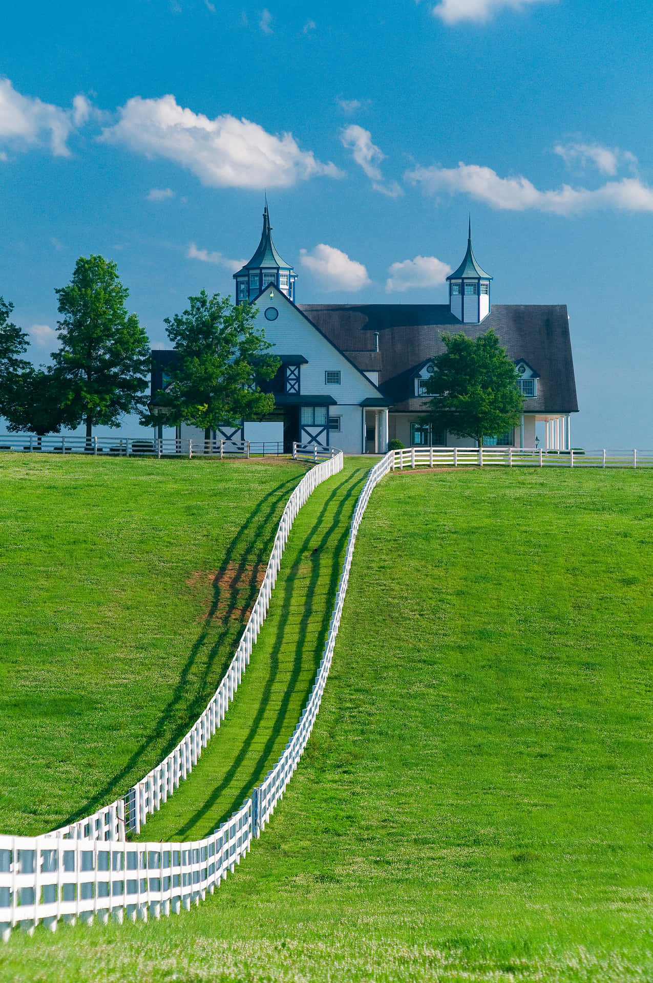 Lexington Manchester Farm