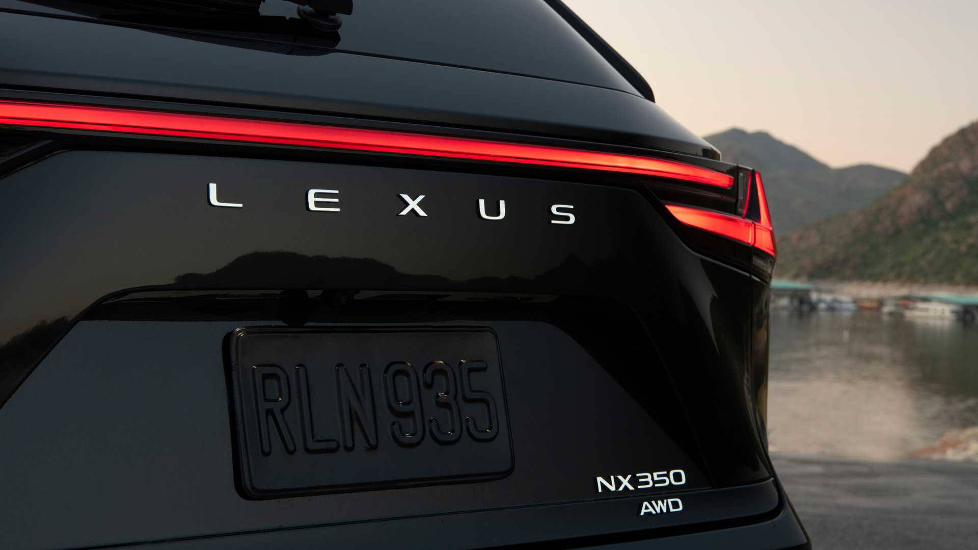 Lexus Logo On Rear Background