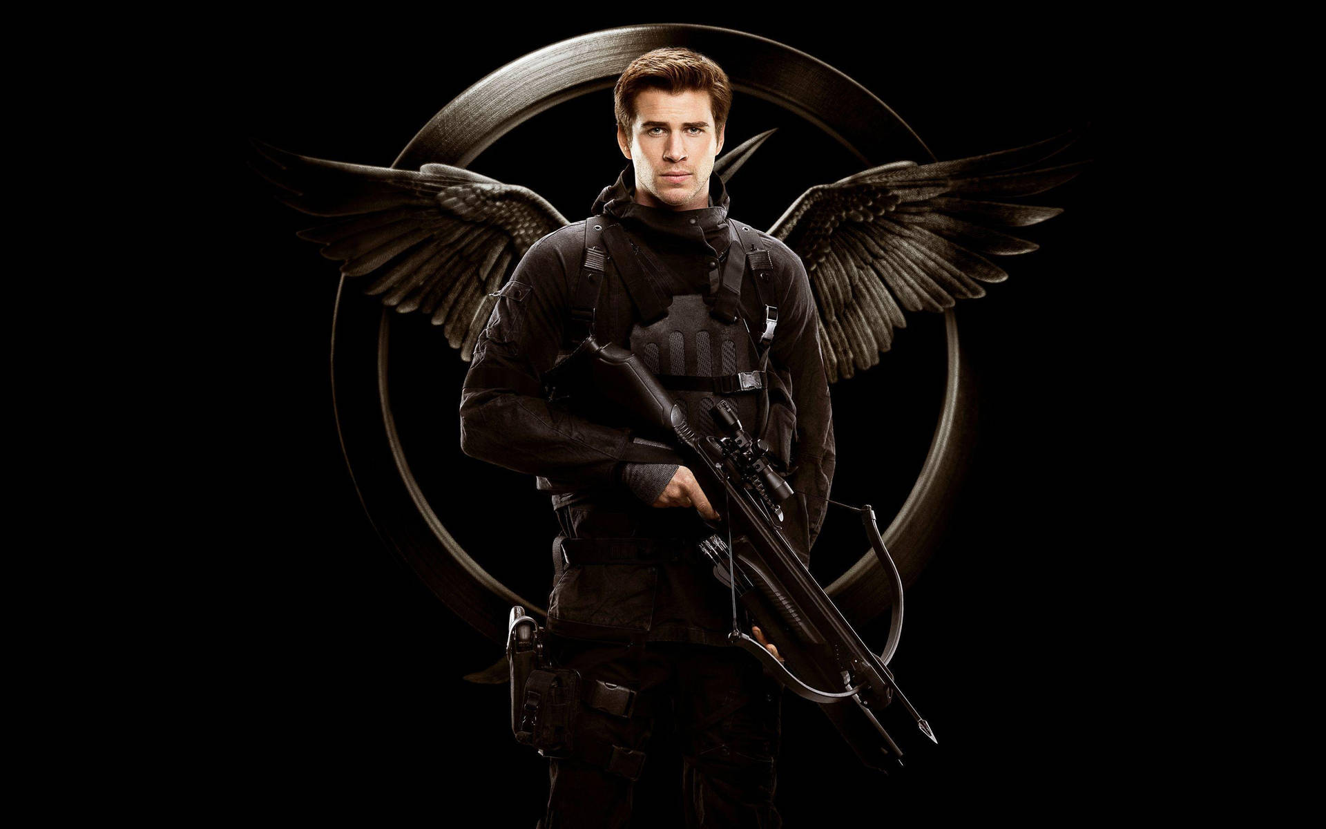 Liam Hemsworth In Hunger Games Background
